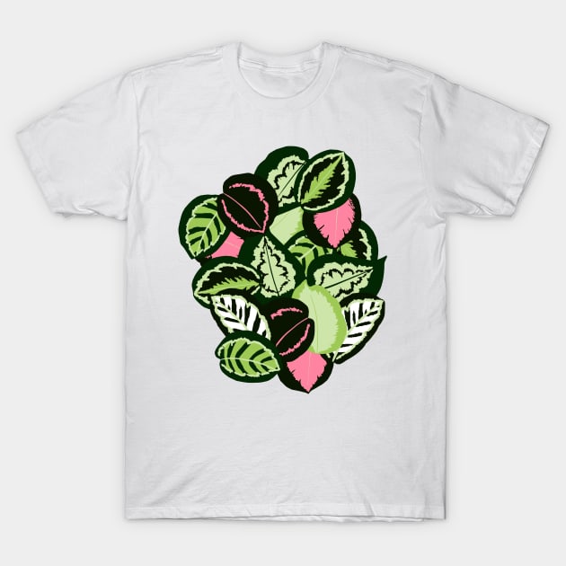 Calathea T-Shirt by artsandherbs